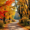 Vibrant Autumn Park Pathway