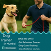 Dog Trainer in Mumbai