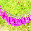 P1180406