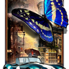 -Butterfly car(9)