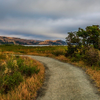 Shoreline Trail - July 7  2025