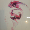 Embryo (wet image)