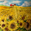 SunFlower Field
