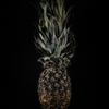 Fruits and Veggies No 8 Color Version
