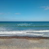 Seashore