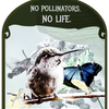 No Pollinators, No Life