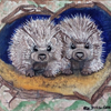 IMG 2026-05-09-12-04-46-698 my baby porcupines 