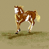 Paint Horse