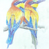 European Bee Eaters