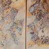 Earthy Abstract