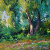 Willows in the Summer Forest