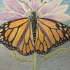 Monarch Butterfly