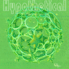 Hypothetical