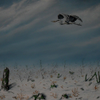 The Flight