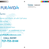 Pura Vida Postcard Back