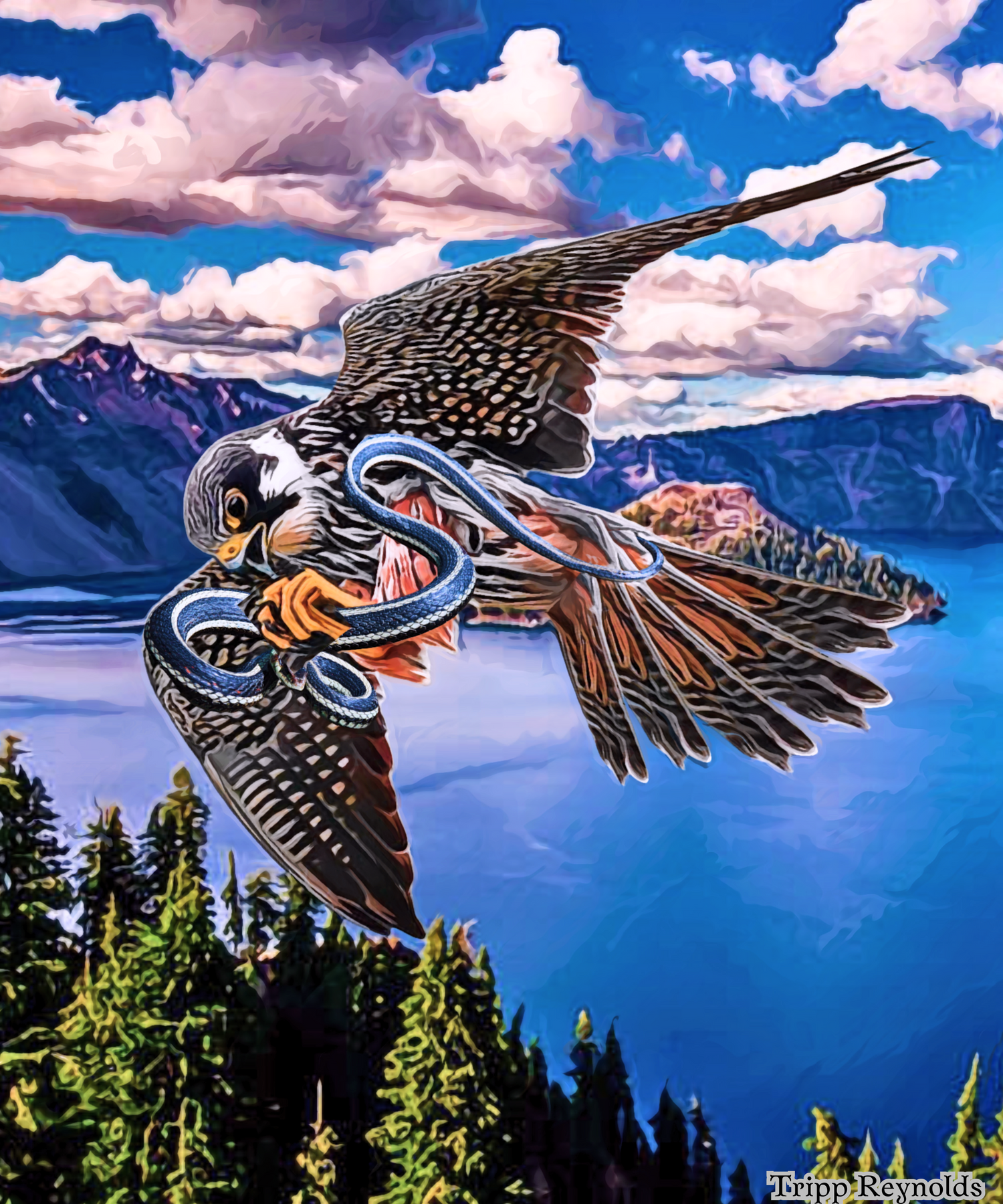 Falcon's Prey by Tripp Reynolds | ArtWanted.com