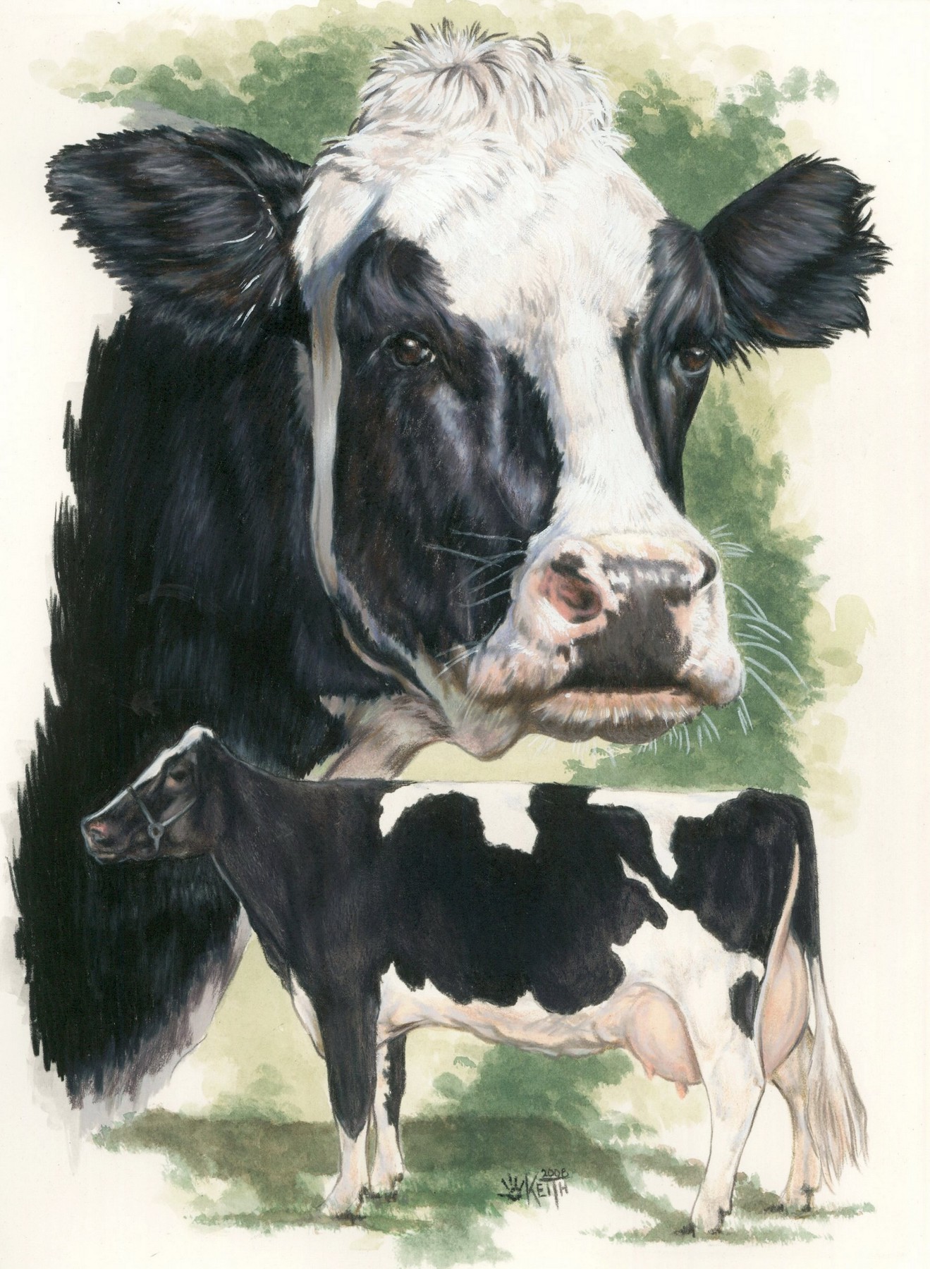 Вышивка корова